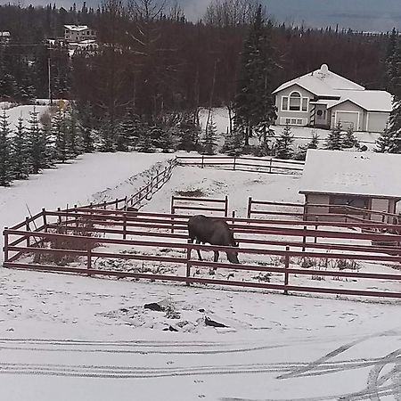 Alaska Sundance Retreat Bed & Breakfast Anchorage Exterior photo
